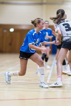 Bild 230 - wCJ TSV Ellerau - Luebecker SV Gut Heil v 1876 : Ergebnis: 22:20